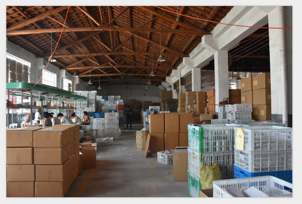 Footprint Bamboo Bottle Manufacturing: Transparency & Worker's Standards
