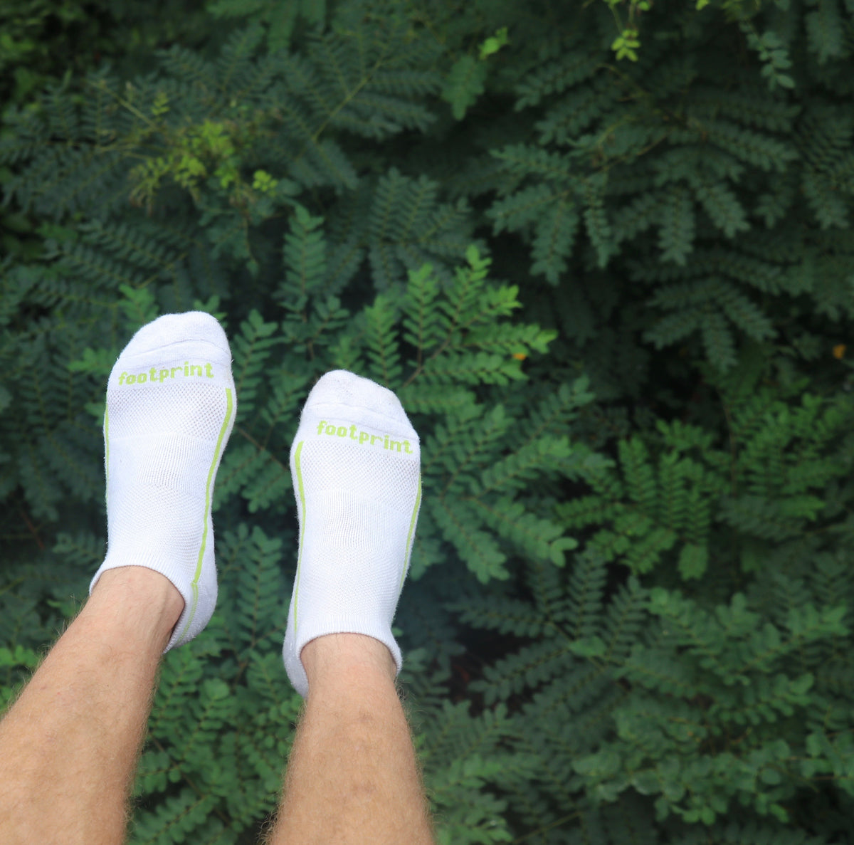 No-Show White/Green Bamboo Performance Socks