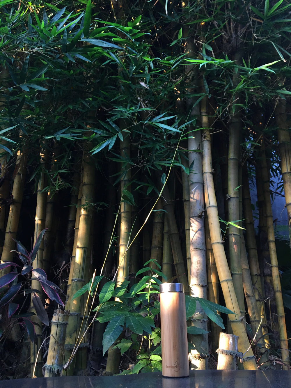Footprint Bamboo Insulated Water Bottle